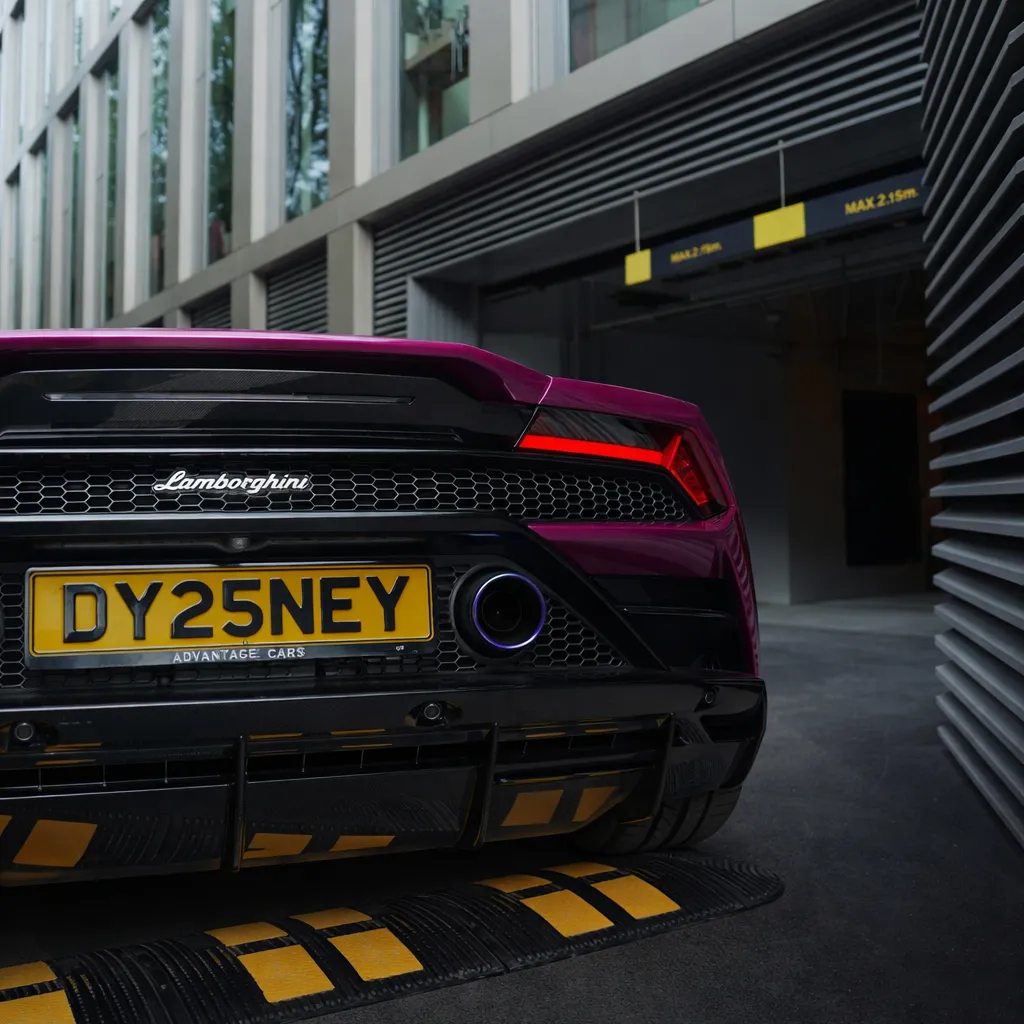 Premium Number Plates - Disney Read